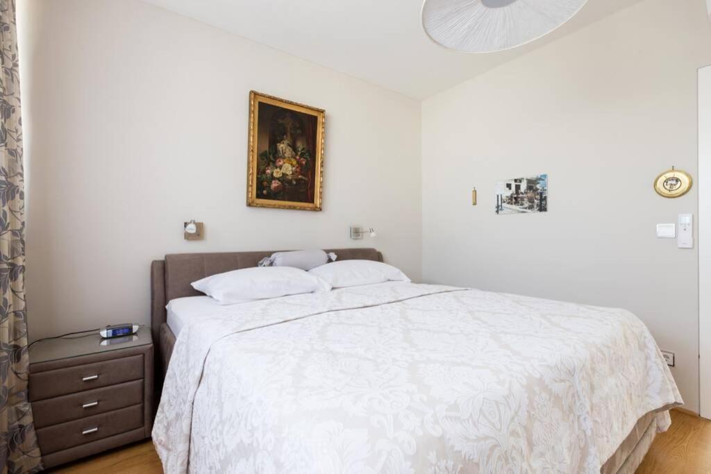 Grosses Penthouse #12 Mit Terrasse Und Aussicht Lejlighed Wien Eksteriør billede