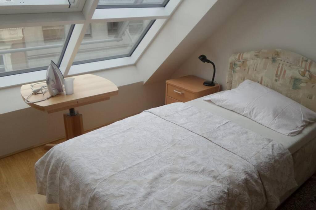 Grosses Penthouse #12 Mit Terrasse Und Aussicht Lejlighed Wien Eksteriør billede